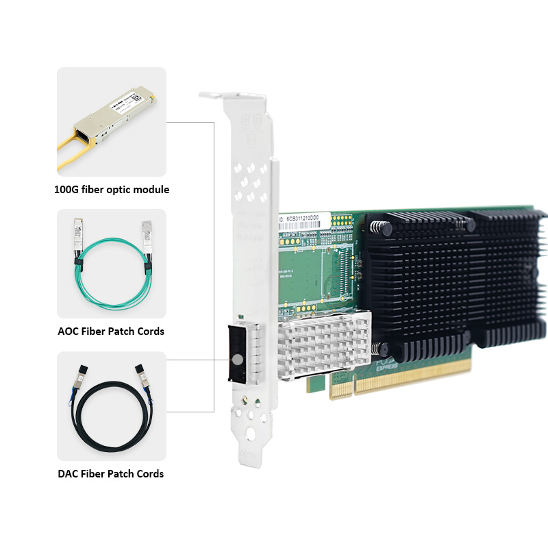 LR-LINK 1019PF-QSFP28 PCIe x16 - огляд і ціна 100Gbe Qsfp28 Network Card